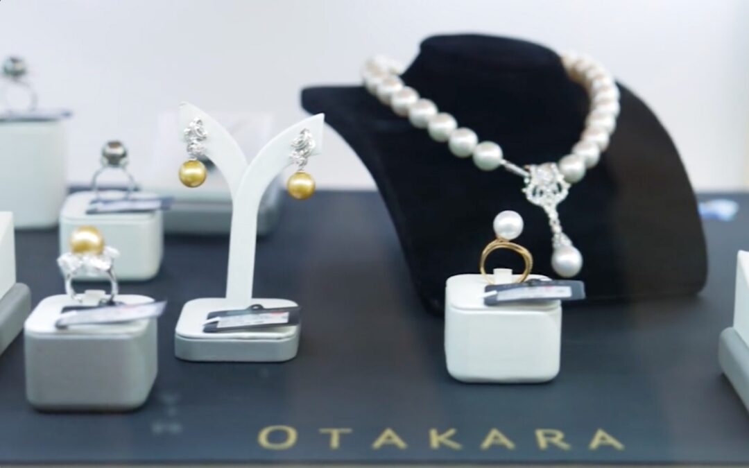 OTAKARAの紹介映像を公開しました。